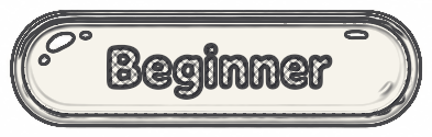 Beginner